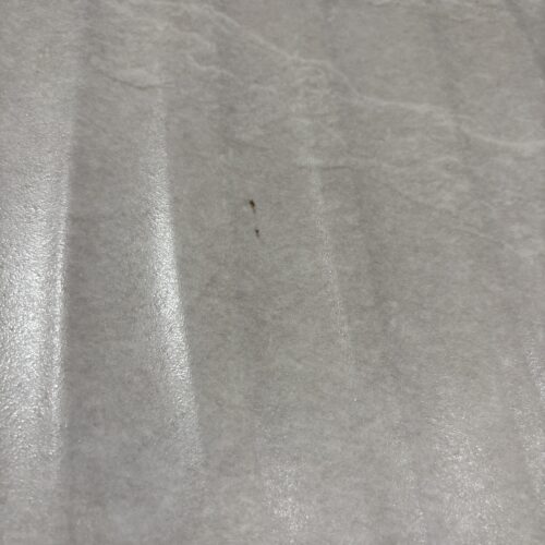 Affaire Bati Deco Amenagement Exterieur Chemille En Anjou IMG 5700