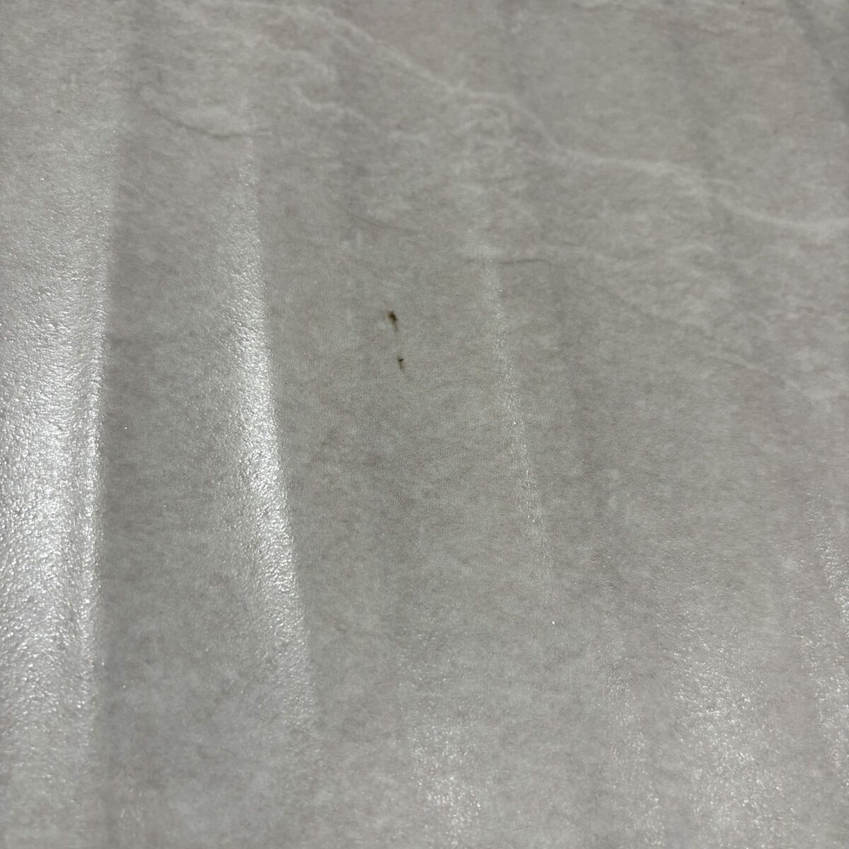 Affaire Bati Deco Amenagement Exterieur Chemille En Anjou IMG 5700