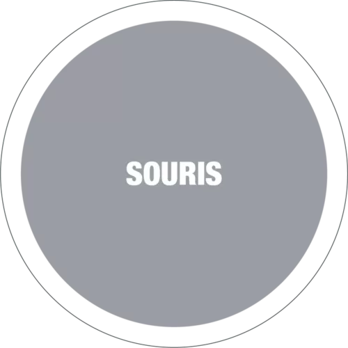 Affaire Bati Deco Amenagement Exterieur Chemille En Anjou Souris 1 1