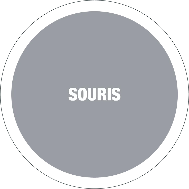 Affaire Bati Deco Amenagement Exterieur Chemille En Anjou Souris 1 1