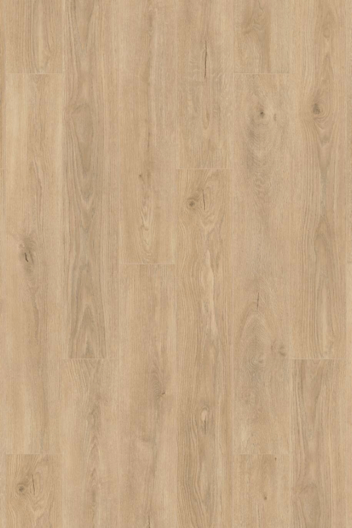 Affaire Bati Deco Amenagement Exterieur Chemille En Anjou Tortilla Cashmire